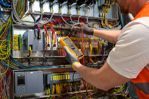 Best Home Electrical Repair  in Penitas, TX