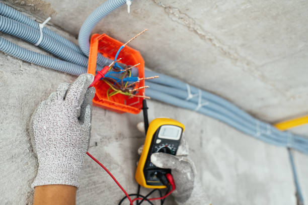 Best Local Electrician Companies  in Penitas, TX