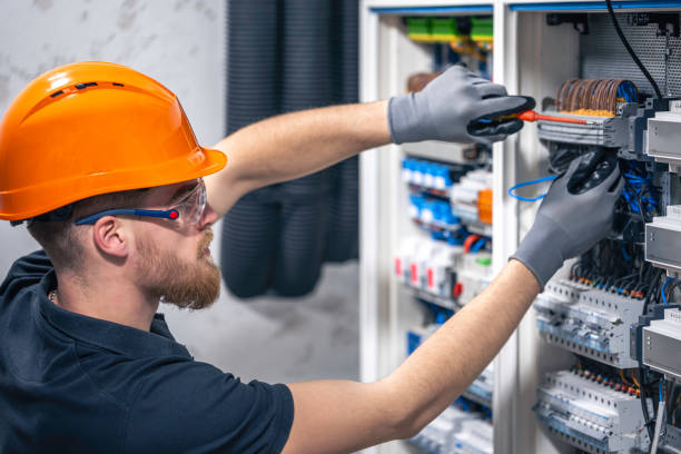 Best Licensed Electrician  in Penitas, TX
